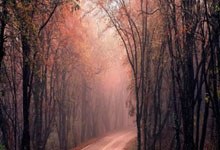 东升国际官网:萨拉赫国家队双响!对手绝望躺地 队友跪地擦鞋膜拜.