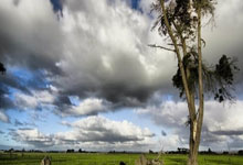 弗里克:“巴萨梦想三冠王又何妨?”.