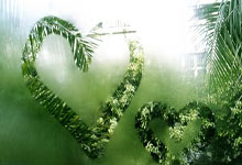 东升国际官网:布里斯班国际赛 网球天王乔科维奇晋级复赛.