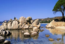 3比3逼平青岛西海岸,谁也没想到拯救海港队的竟是一位19岁小将.